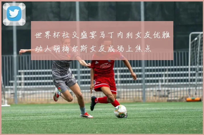 世界杯社交盛宴马丁内利女友优雅动人胡梅尔斯女友成场上焦点